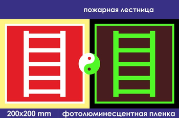 F03 пожарная лестница (фотолюминесцентная пленка, 200х200 мм) - Знаки безопасности - Фотолюминесцентные знаки - Магазин охраны труда ИЗО Стиль