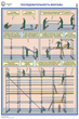 ПС26 Строительные леса (конструкции, монтаж, проверка на безопасность) (ламинированная бумага, a2, 3 листа) - Охрана труда на строительных площадках - Плакаты для строительства - Магазин охраны труда ИЗО Стиль